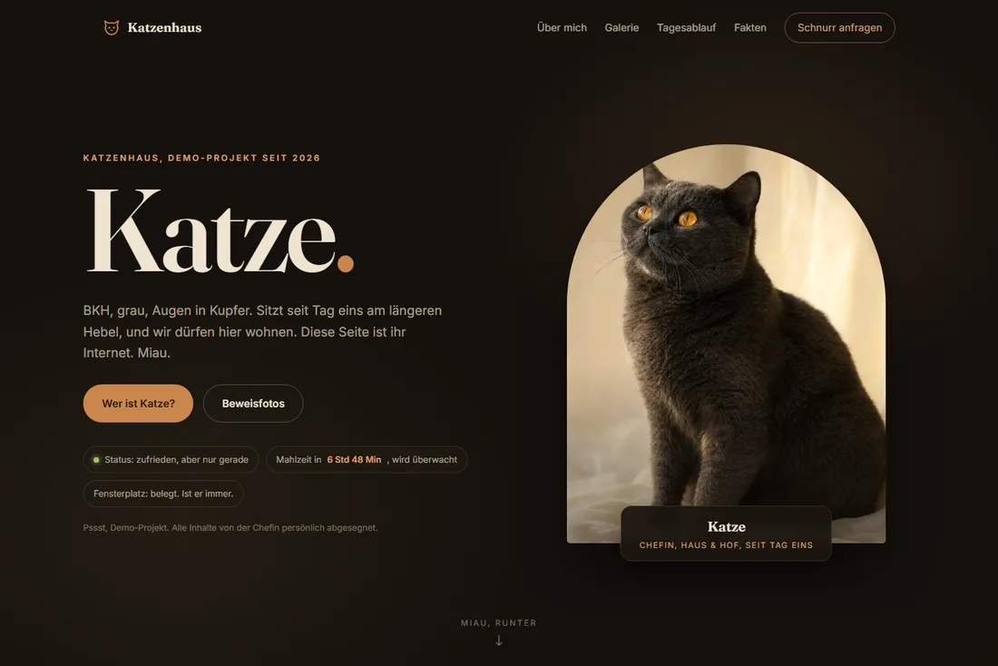Website-Beispiel mit Humor: Startseite des Katzenhauses mit einer grauen Katze